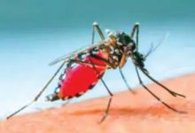 मलेरियाचा संक्रमण पॅटर्न बदलण्यामागे हवामान बदल