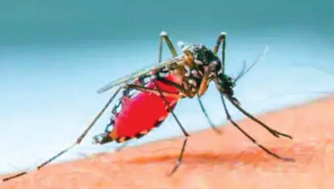 मलेरियाचा संक्रमण पॅटर्न बदलण्यामागे हवामान बदल