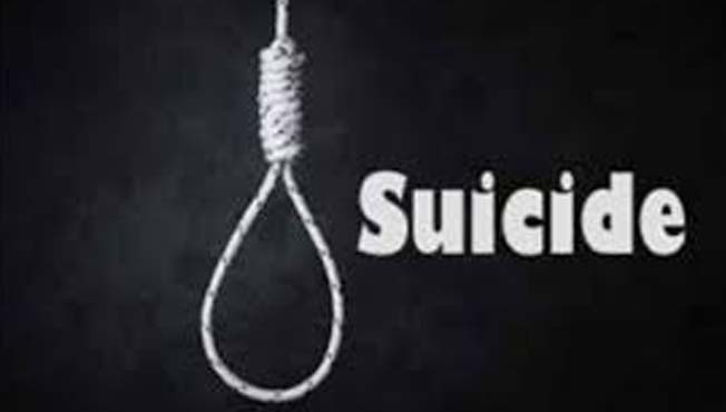दोघांची आत्महत्या,www.pudhari.news 