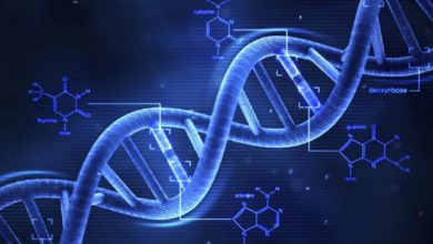 कोल्हापूर DNA तंत्रज्ञान