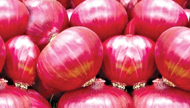 onion price is 1400 rs onion rate list
