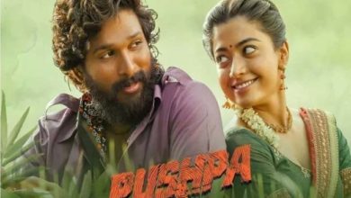 pushpa movie