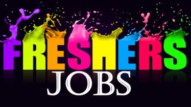 freshers jobs www.pudhari.news