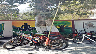 झेंडा लावलेली सायकल,www.pudhari.news