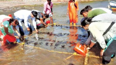 Seaweed project started in Ratnagiri
