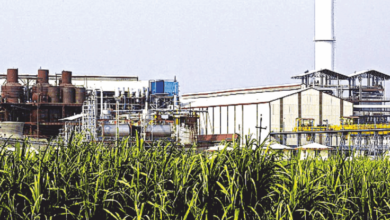 Maharashtra industry in sugar