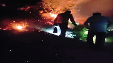 पांडवलेणीच्या माथ्यावर आग,www.pudhari.news