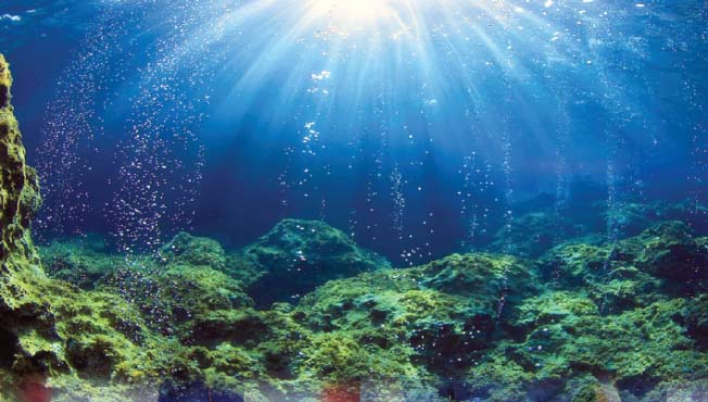 खोल समुद्रातील पाण्याचे वाढते आहे तापमान www.pudharinews.