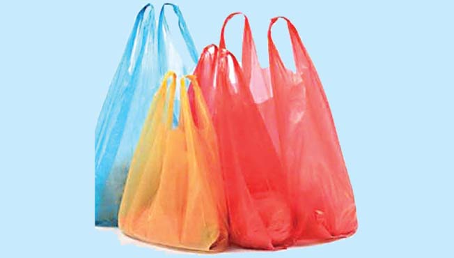 प्लास्टिक पिशव्या