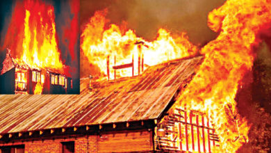 नाशिक आगीच्या घटना,www.pudhari.news