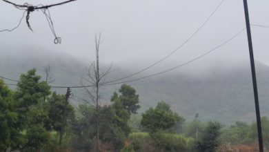 वाळवा तालुका पाऊस