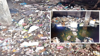 कचरा सडला नाशिक,www.pudhari.news