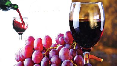 winery in nashik