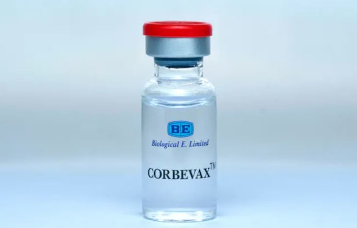 Corbevax booster dose