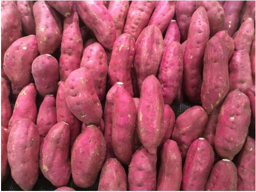 Sweet Potatoes India Origin