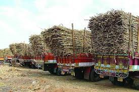 Sugarcane transporter are in finacial trouble in the state Pune
