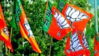 Lok Sabha Election 2024, भाजपची पहिली यादी मार्चच्या पहिल्या आठवड्यात?