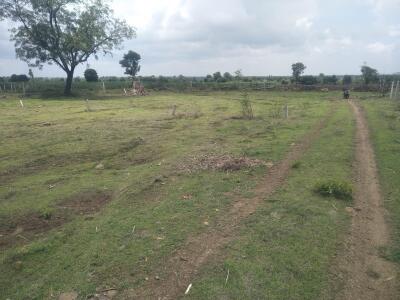 non agriculture land scheme and campaign launched in villages by pune collector