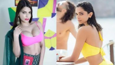 Deepika Padukone Bikini Controversy