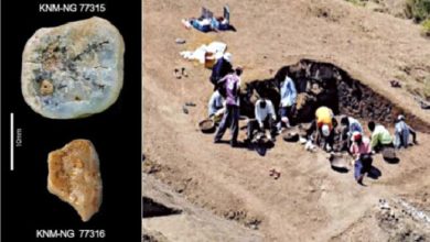 केनियात सापडली सर्वात प्राचीन दगडी अवजार