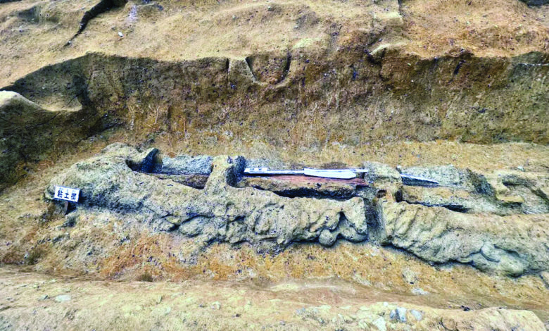 जपानमध्ये सापडली चौथ्या शतकातील तलवार
