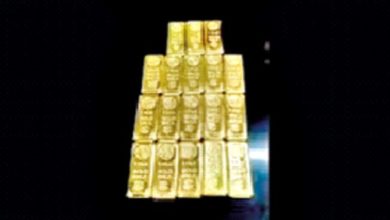 दुबईहून आलेल्या भाजी विक्रेत्याकडून हस्तगत केल्या सोन्याच्या 18 विटा