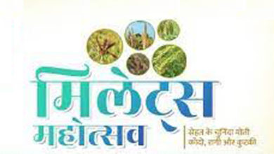 मिलेट महोत्सव www.pudhari.news