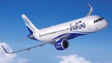 Passenger Misbehaved In Indigo Flight