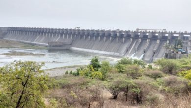 Water released from ujjani dam in bheema river for pandharpur Ashadi Wari 2023