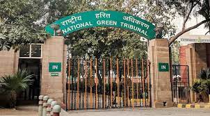 NGT directs Pune not to cut trees for riverfront redevelopment project till July 31