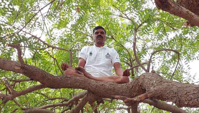 कडुलिंबाच्या झाडावर योगा,www.pudhari.news