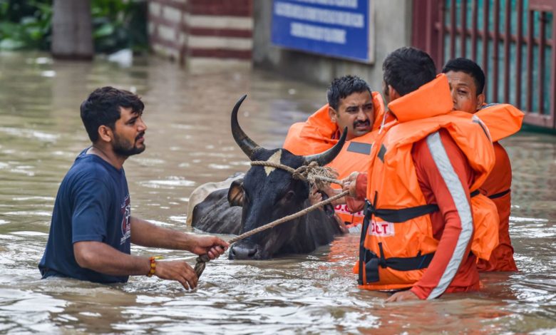 Delhi Flood