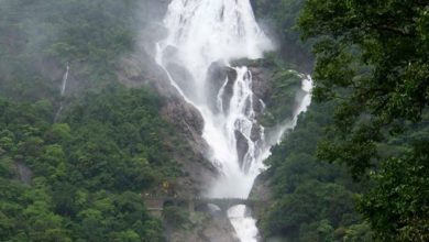 file photo - Dudhsagar Waterfall