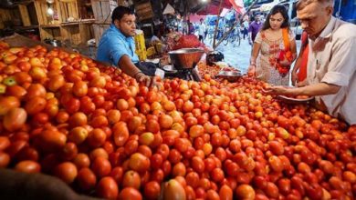 टोमॅटो दर, Tomato prices