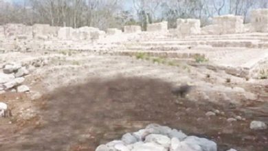 मेक्सिकोत सापडले 1500 वर्षांपूर्वीच्या महालाचे अवशेष