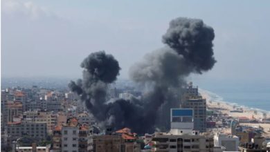 At least 22 Israelis killed Israel-Palestine escalation