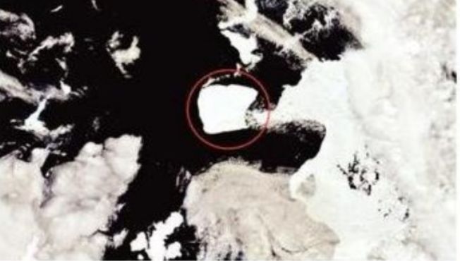 Iceberg freed from antarctica
