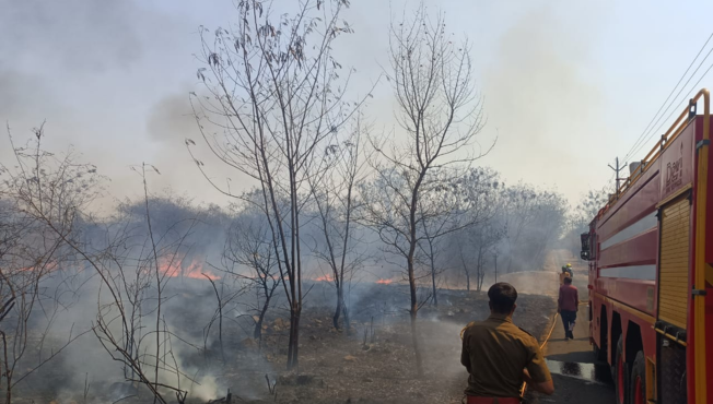 Nagpur Fire News