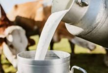 Milk Subsidy