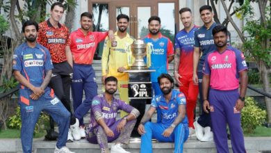 IPL 2024 Final : आयपीएल फायनलची तारीख जाहीर! ‘या’ 2 मैदानांवर प्लेऑफचे सामने रंगणार