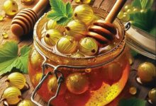 Benefits OF Amla and Honey