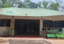 Pediatric Ward for Animal in Nagpur