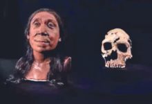 75 हजार वर्षांपूर्वीच्या महिलेला मिळाला चेहरा!