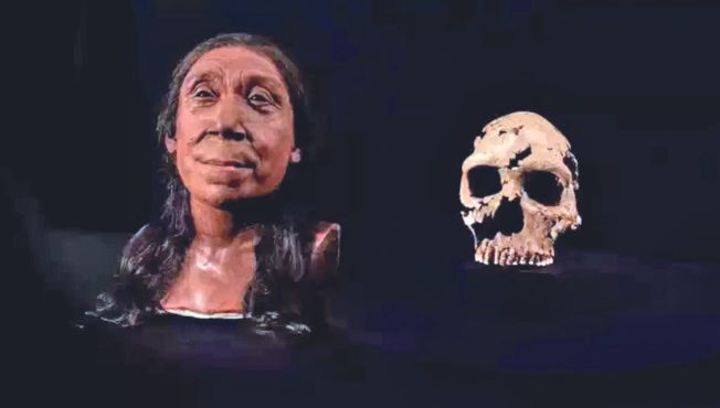 75 हजार वर्षांपूर्वीच्या महिलेला मिळाला चेहरा!
